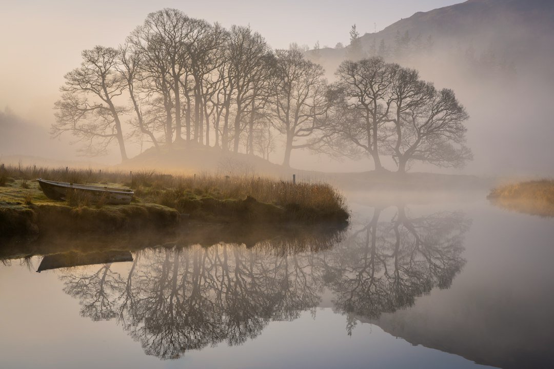 Misty morning river with bare trees and soft reflections