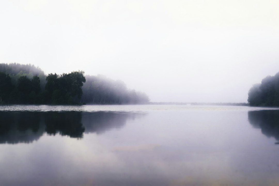 Still lake surrounded by trees and soft morning fog